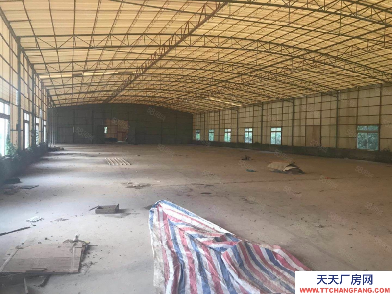 (出租) 蓬江區(qū)9元廠房出租 格局方正采光好 交通方便