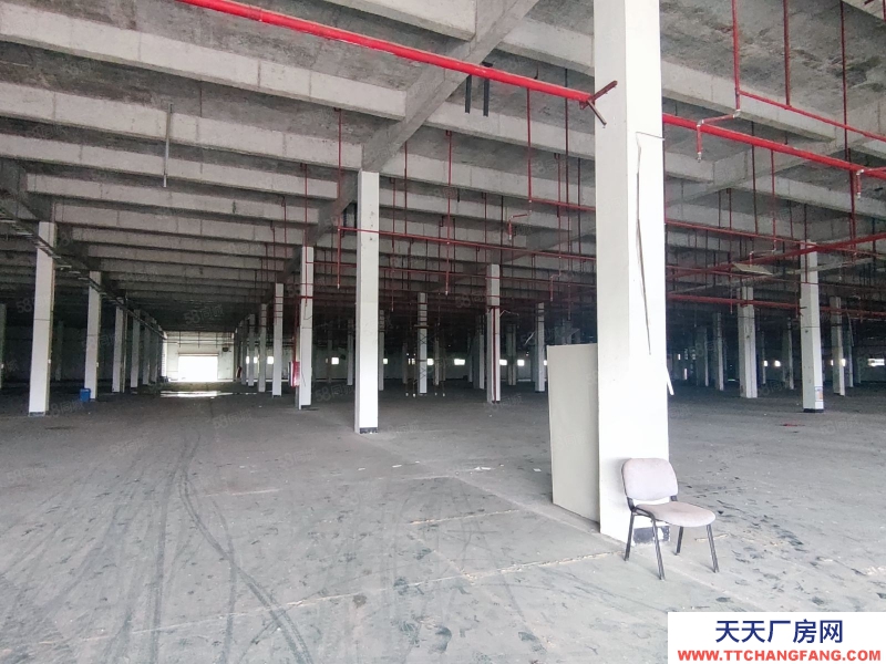 (出租) 江門蓬江珠西化工園內,1萬方化工園招租,配置消防設施和污水處理池