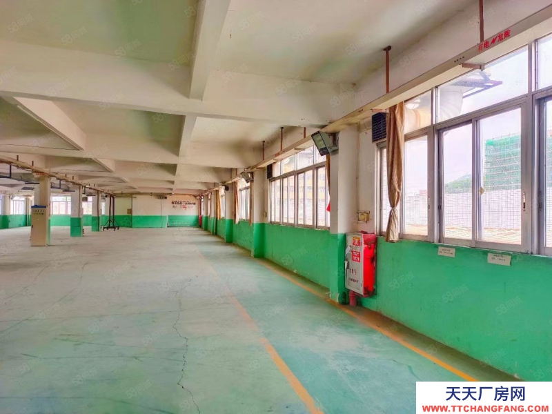 (出租) 蓬江紅本標準廠房倉庫出租300起租（每平方8元起租）