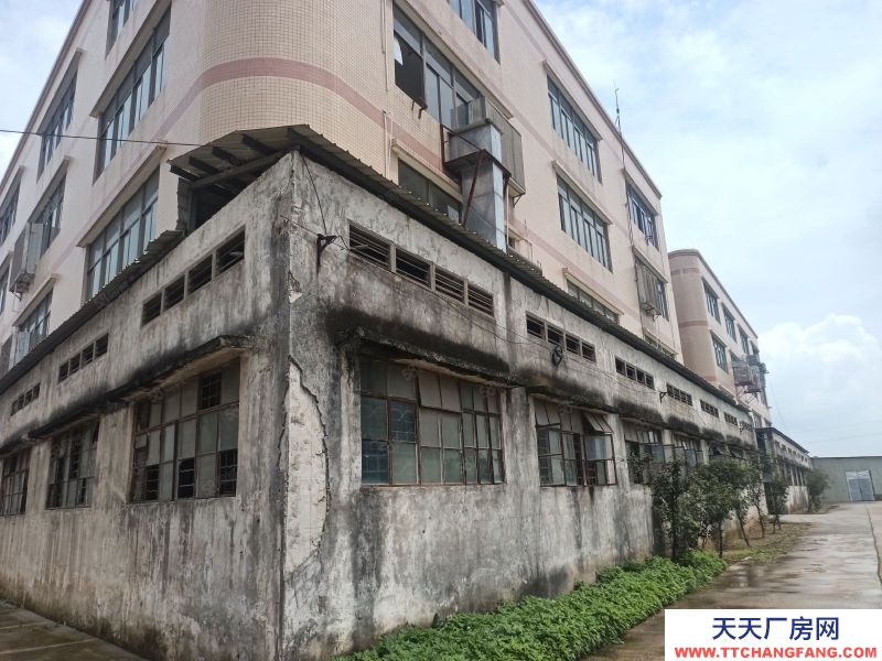 (出租) 江門蓬江獨棟廠房出租6280方