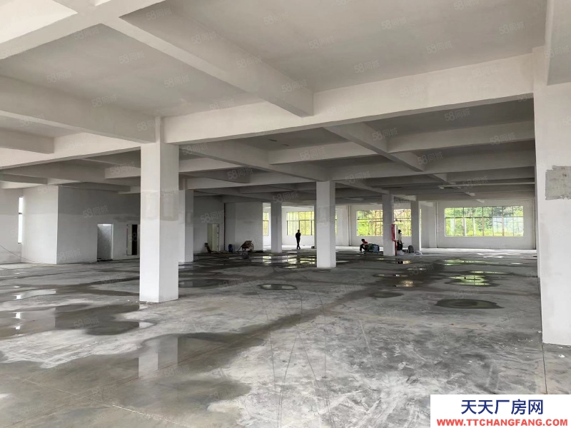 (出租) 江門可辦環評荷塘西江大橋,獨門獨院,全新4800平方標準廠