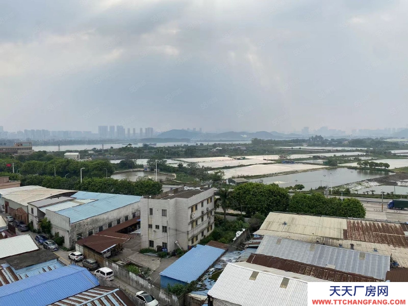 (出租) 江門可辦環(huán)評(píng)荷塘西江大橋,獨(dú)門獨(dú)院,全新4800平方標(biāo)準(zhǔn)廠