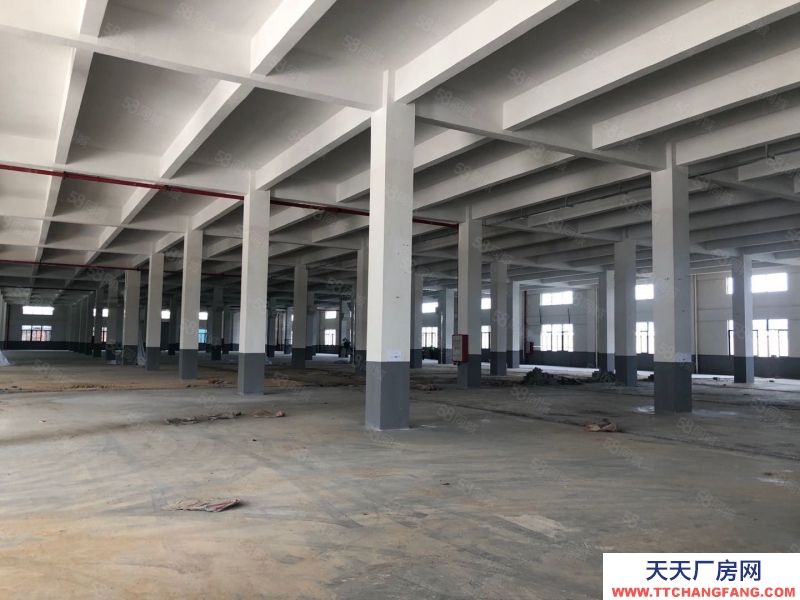 (出租) 江門蓬江地下一樓1000平方 電150以上 水電齊 大路邊