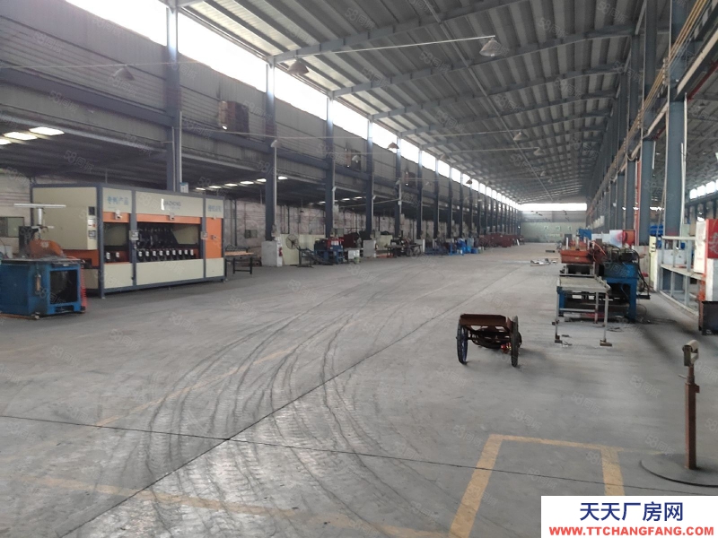 (出租) 江門新會標準 單一層 行業不限實惠出租！