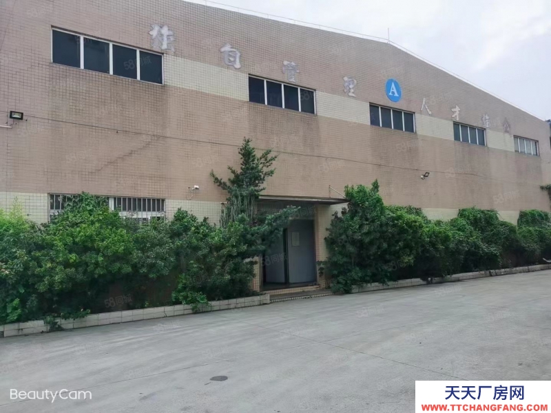 (出租) 江門新會睦州35000方廠房出租 可分租