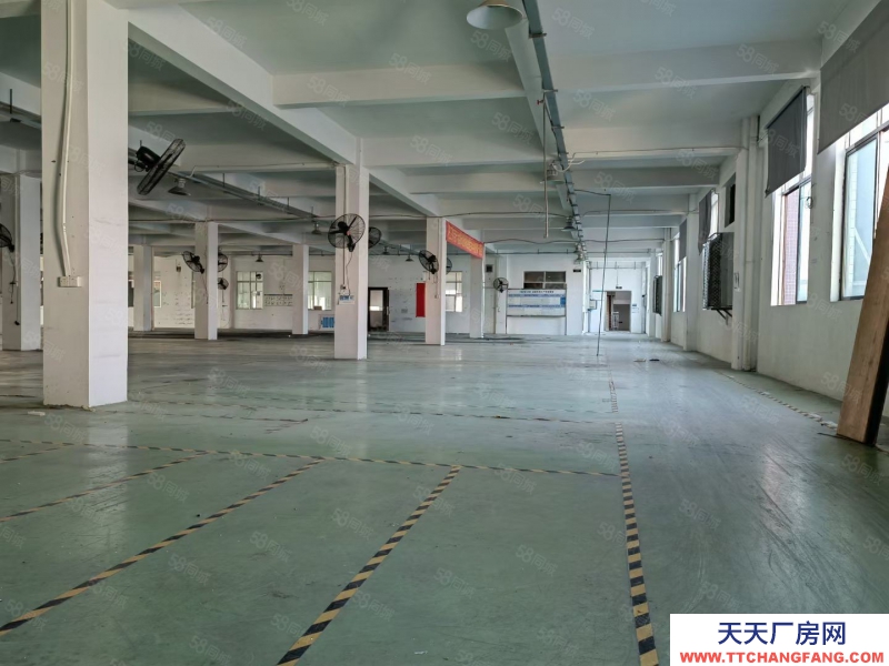 (出租) 江門市新會區睦洲鎮新沙工業區獨院16250平方標準廠房出租