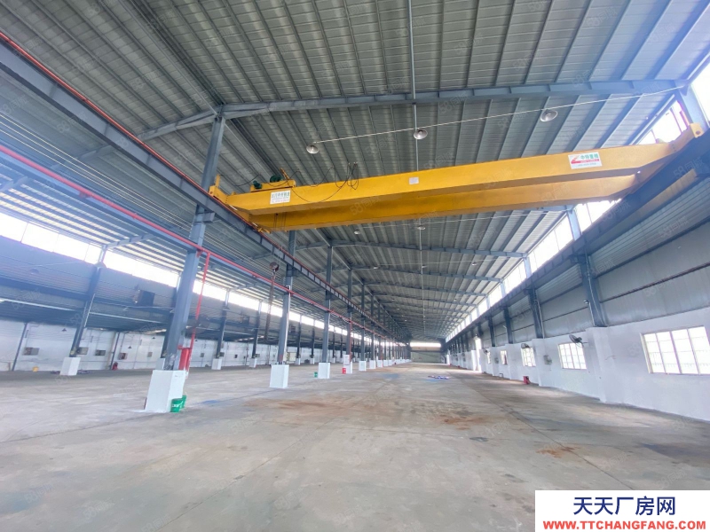 (出租) 江門新會12米高獨院鋼構廠房帶十噸航軌廠房可分租