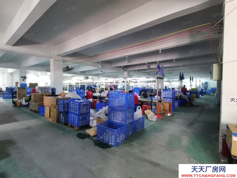 (出租) 江門江海高新區(qū)高新西路大型工業(yè)園出租三樓精裝整層3900平方可分