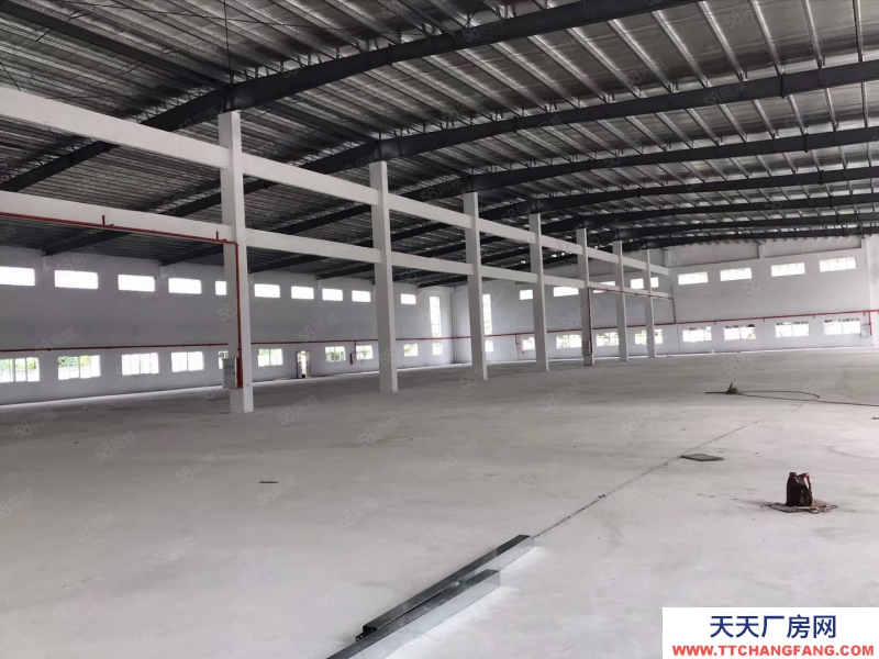 (出租) 江門江海區 全新單一層8000方 可分 租