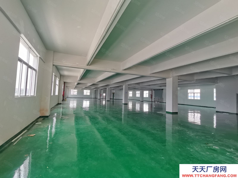 (出租) 江海高新區(qū)南山高速出口附近精裝,一二樓3200平方出租