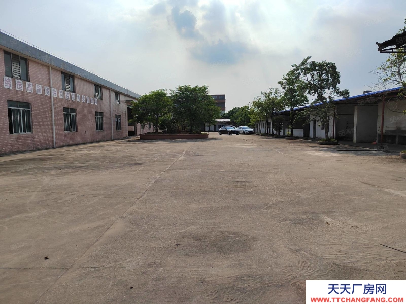 (出租) 江門臺山水步鎮獨院單一層廠房倉庫6000,空地3000出租