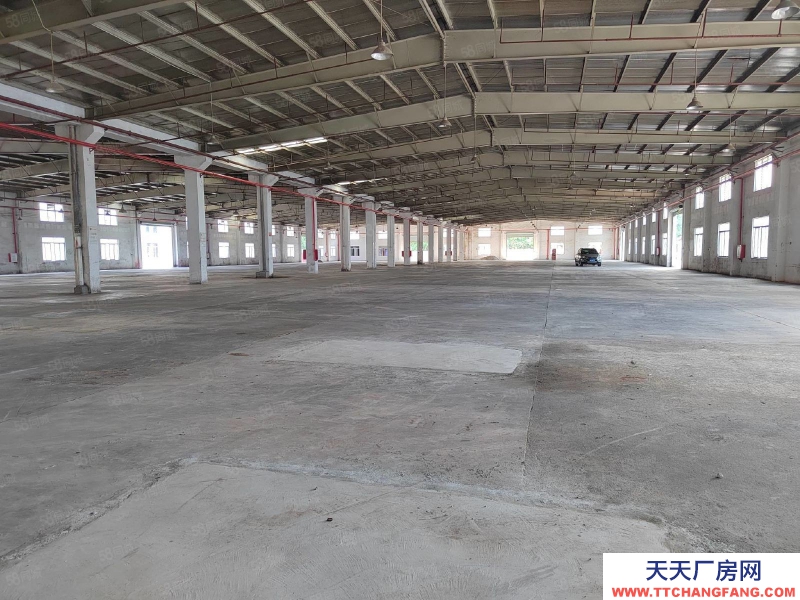 (出租) 江門臺山水步鎮(zhèn)獨院單一層廠房倉庫6000,空地3000出租