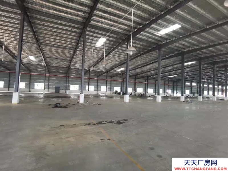 (出租) 原房東出租!江門臺山新建獨院鋼構廠房出租25000平可分租
