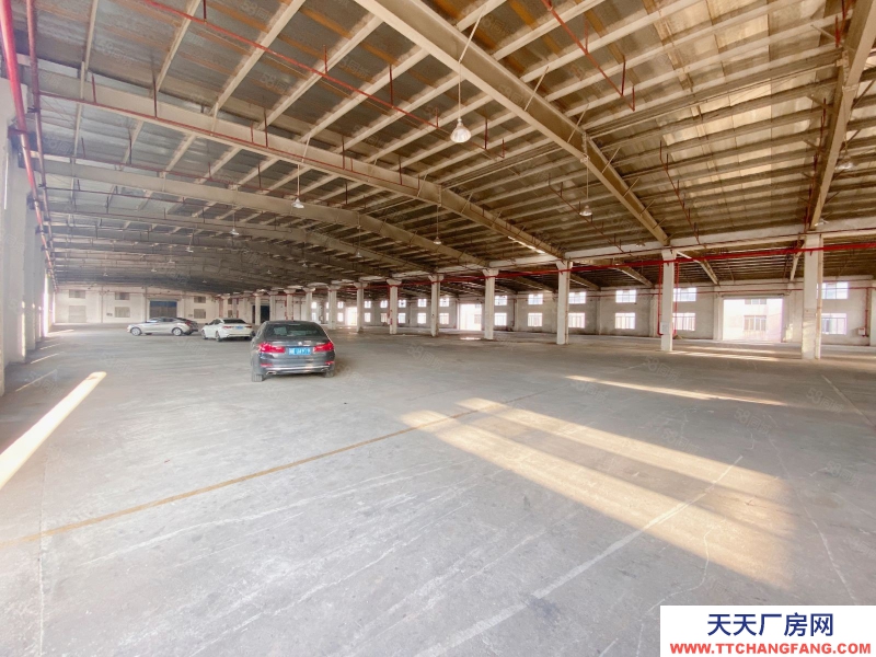 (出租) 江門臺山獨院磚墻單一層廠房出租空地3000平方配套宿舍辦公室