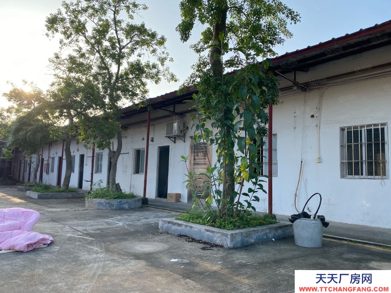 (出租) 江門臺山獨(dú)院磚墻單一層廠房出租空地3000平方配套宿舍辦公室