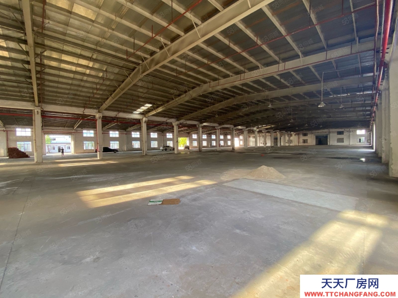 (出租) 臺山市標準鋼結構新建單一層