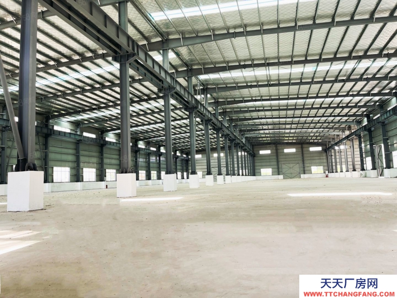 (出租) 臺山水步重工業獨門獨院6000單一層13米高廠房