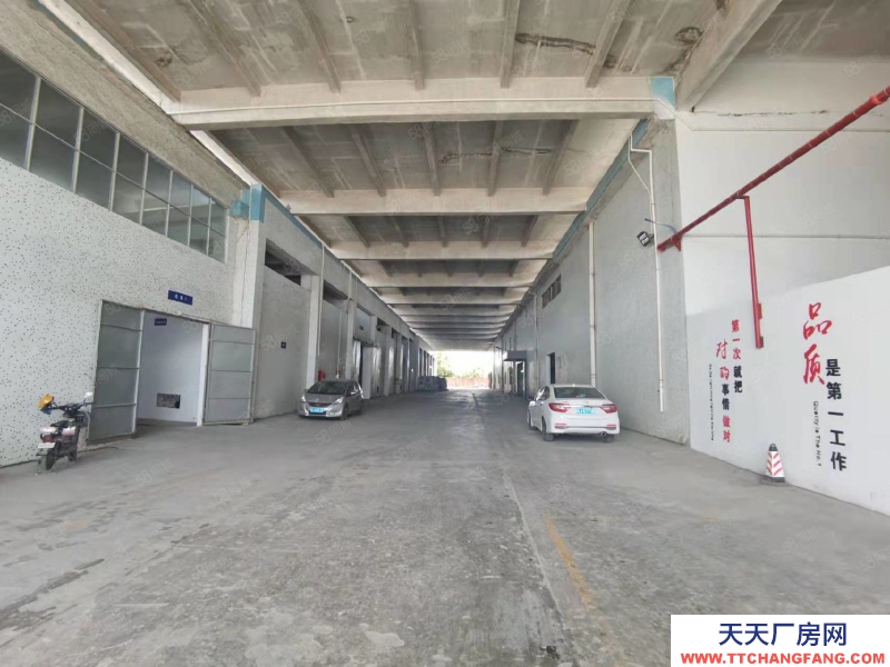 (出租) 江門開平水口獨院單層廠房出租20000平空地大可分租免租期長