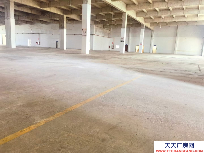 (出租) 江門開平水口獨院單層廠房出租20000平空地大可分租免租期長