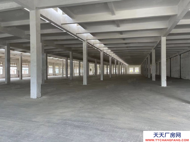 (出租) 江門開平三類工業(yè)用地10元廠房,條件寬松,年限長