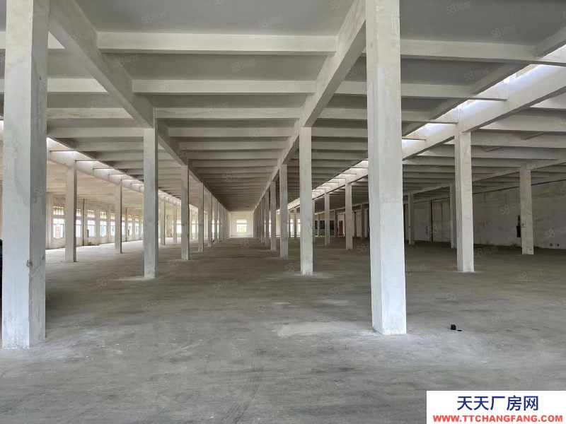 (出租) 江門開平三類工業(yè)用地10元廠房,條件寬松,年限長