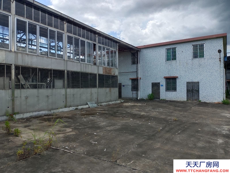 (出租) 江門低價5元方，獨門獨院，鶴城共和交界舊廠房連水泥地，按需求分租