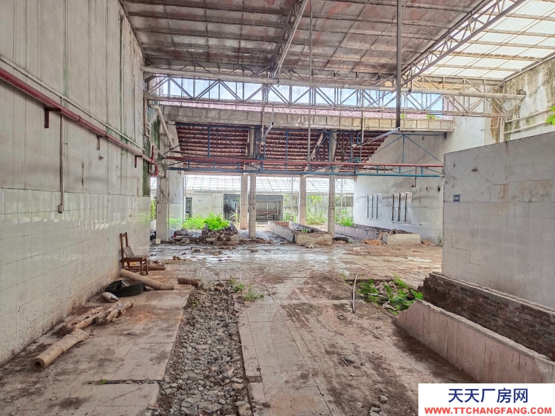 (出租) 江門低價5元方，獨門獨院，鶴城共和交界舊廠房連水泥地，按需求分租