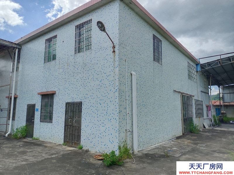 (出租) 江門低價5元方，獨門獨院，鶴城共和交界舊廠房連水泥地，按需求分租