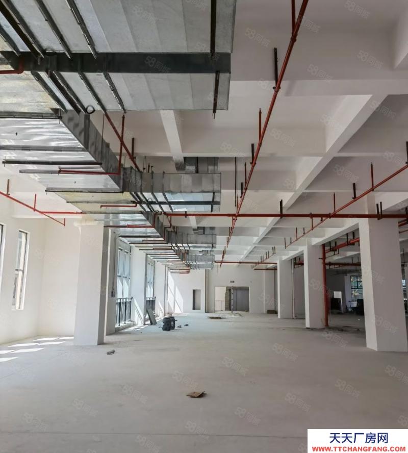 (出租) 江門鶴山市鶴城鎮(zhèn)325國(guó)道邊獨(dú)院花園式45000平方廠房出租