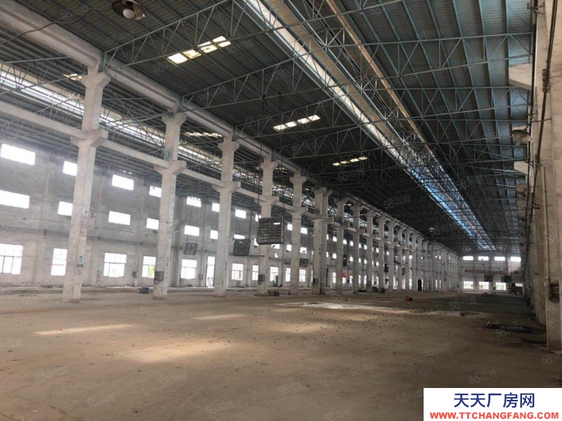 (出租) 江門鶴山市沙坪鎮南工業城獨院單一層出租（可分租）