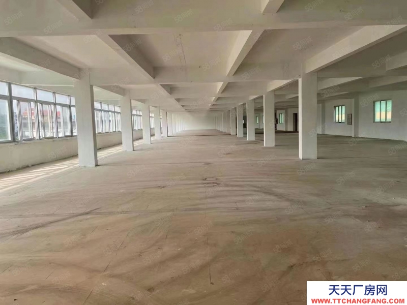 (出租) 江門鶴山雅瑤獨院廠房水泥結構10元！