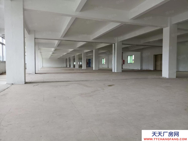 (出租) 江門鶴山雅瑤獨院廠房水泥結構10元！