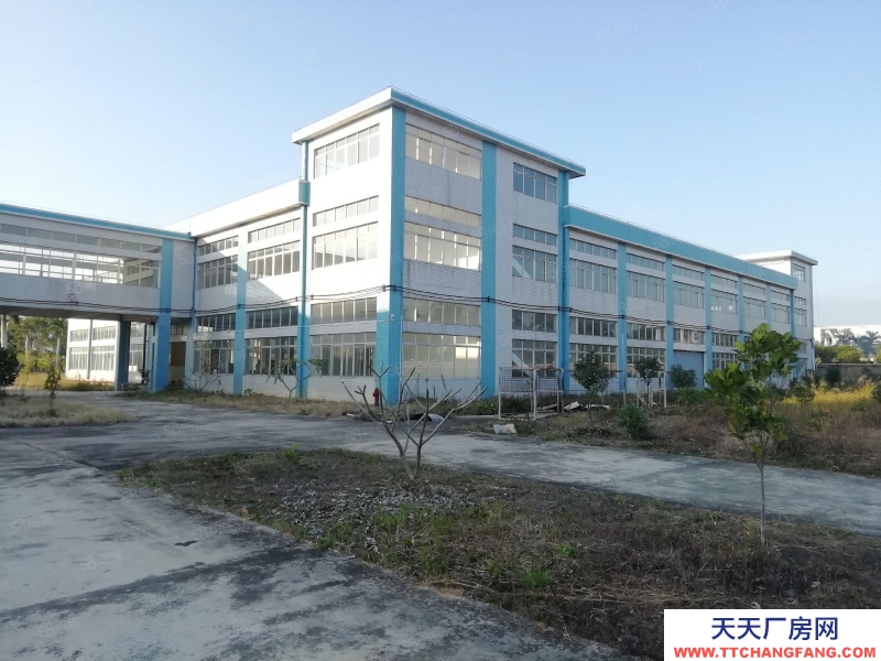 (出租) 江門恩平大量廠房倉庫工業(yè)用地商服用地招租