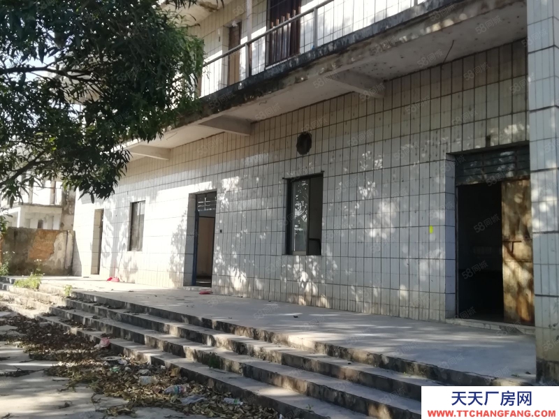 (出租) 江門恩平大量廠房倉庫工業(yè)用地商服用地招租