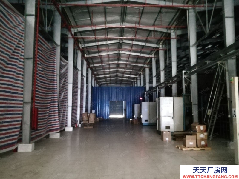 (出租) 江門恩平鋼架結構10米高一樓廠房招租，適合五金沖壓生產流水線