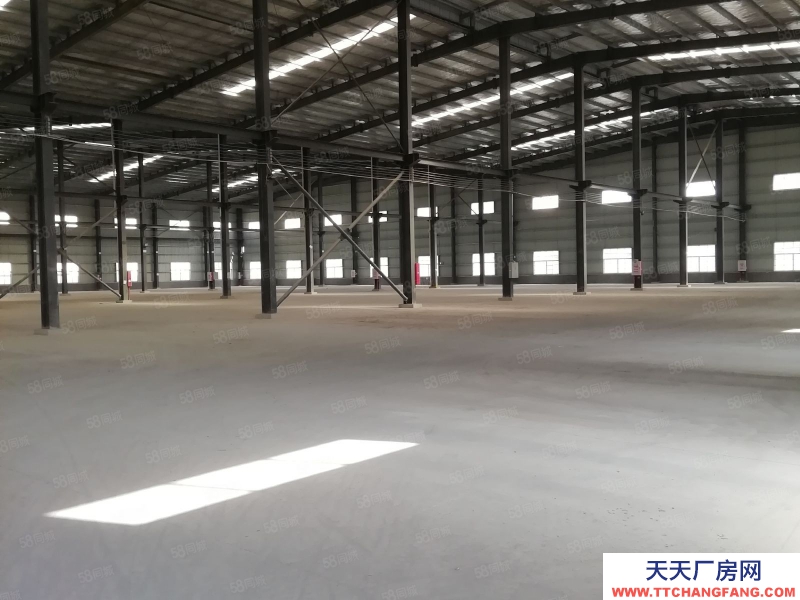 (出租) 江門恩平市5萬平方鋼架結構廠房招租，適合大型鋼鐵板金流水生產