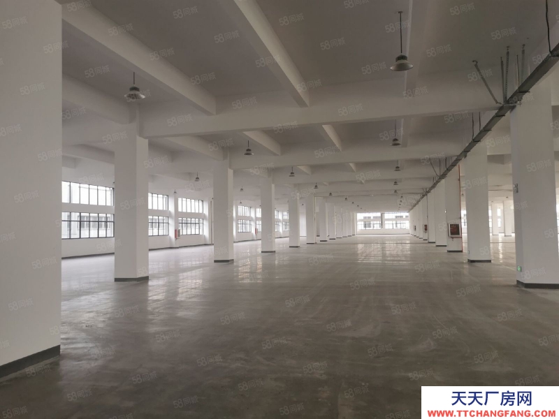 (出售) 出售吳興區屋美價廉,獨門獨院廠房,10畝地