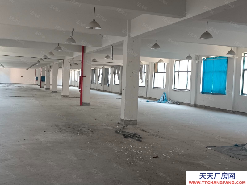 (出租) 超劃算，出租練市獨門獨院單層10000方，院內(nèi)11畝可建硬化