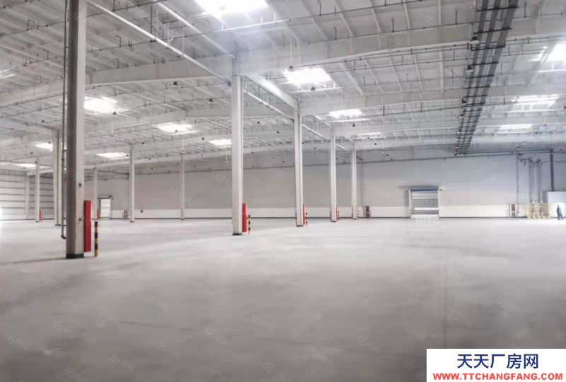 (出租) 南潯區(qū)48000平大型丙二類倉庫