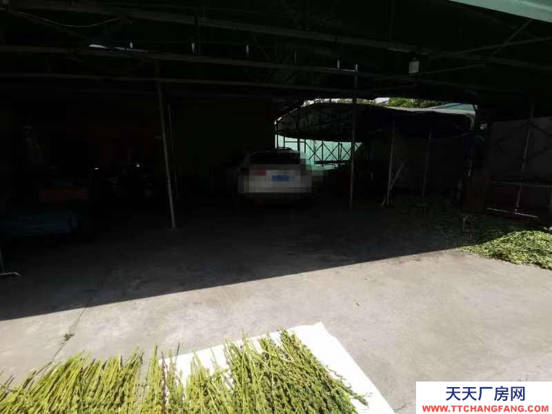 (出租) 空房出租（一間倉庫加四間一層樓房和周圍空地）