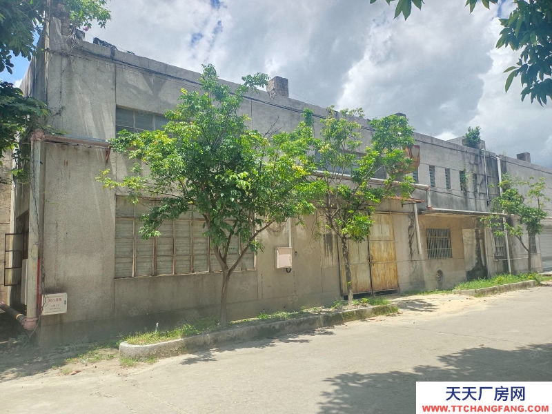 (出租) 江門蓬江建設二路500至2000平方舊廠房出租，適合倉儲物流等