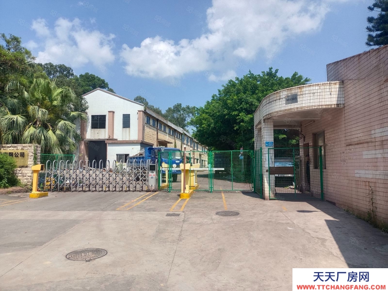 (出租) 江門蓬江龍灣路倉儲商業場地200至4000平,鄰近江門大道高速口