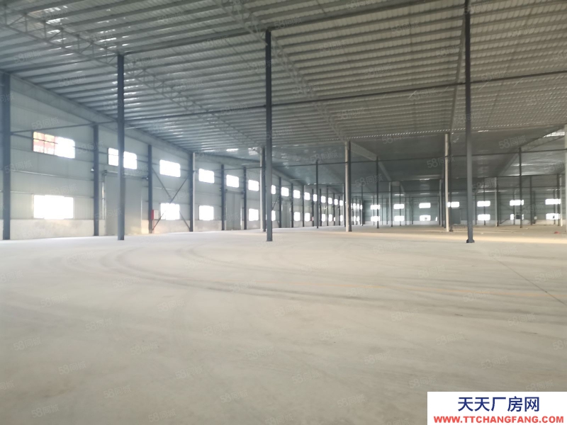 (出租) 江門江海區外海每棟3000平單一層鋼構倉庫出租廠房出租分租共4棟