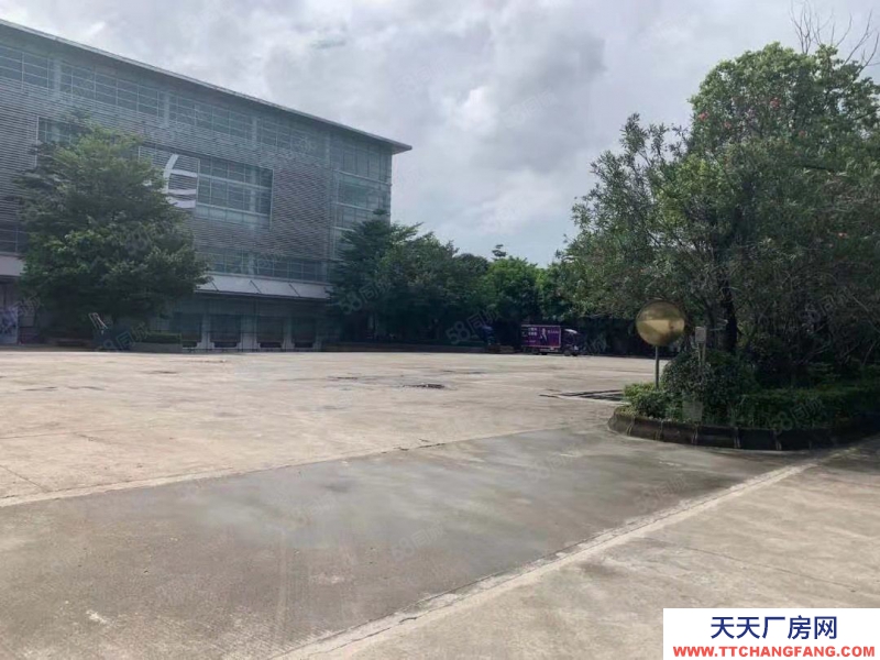(出租) 江門江海區高新區6500平單一層倉庫出廠房出租臨時倉庫出租可分租