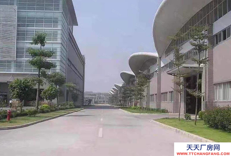 (出租) 江門江海區高新區6500平單一層倉庫出廠房出租臨時倉庫出租可分租