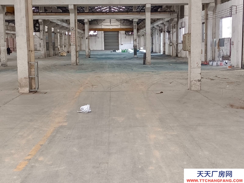 (出租) 江門江海超靚鋼構單一層倉庫出租！