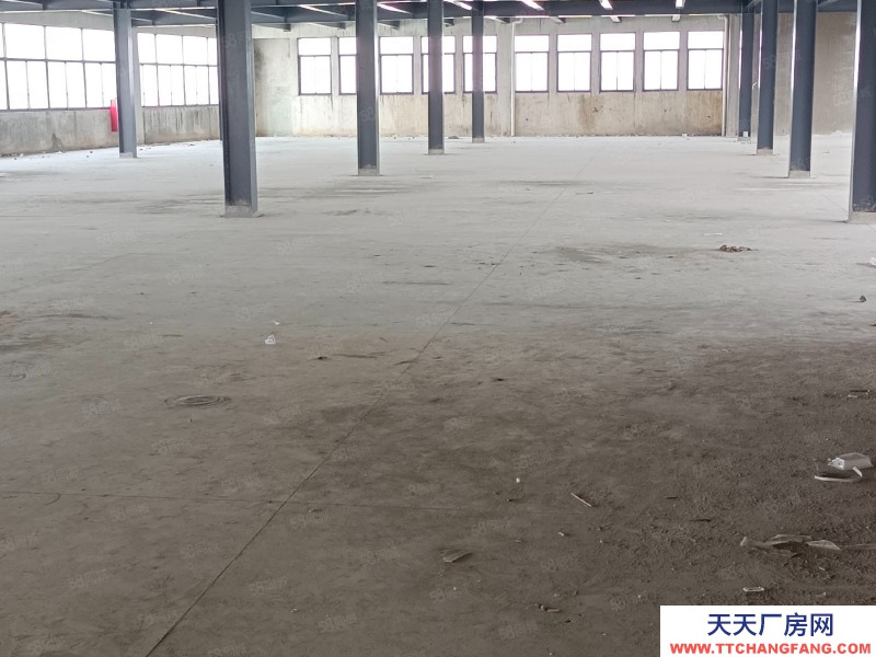 (出租) 江門江海超靚鋼構單一層倉庫出租！