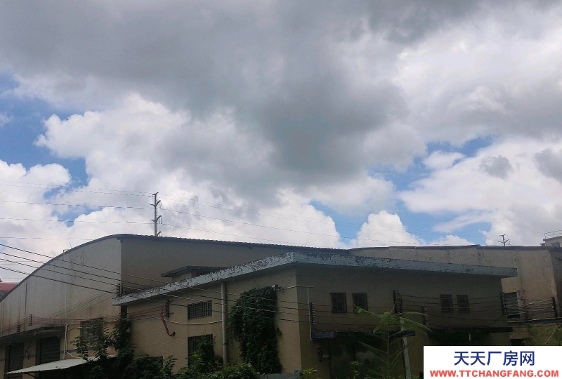 (出租) 江門江海單層廠房倉庫、高度8米，出入方便