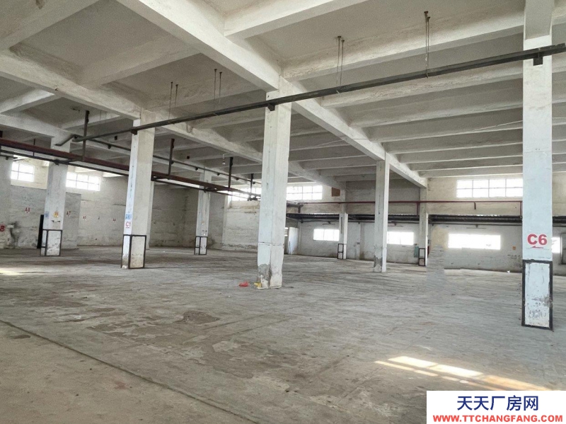 (出租) 江門新會三和大道1300平方倉庫廠房，可分租