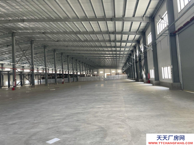 (出租) 江門新會全新廠房出租（非中介）